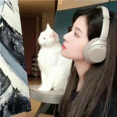公子贵姓